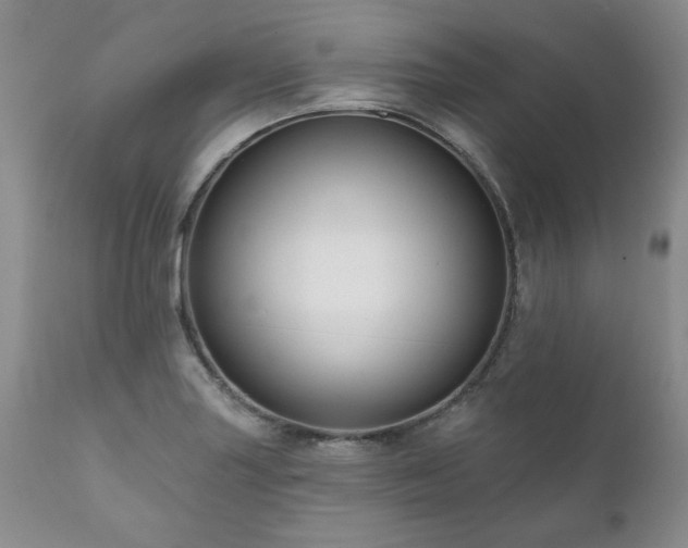 X0000111161227200906301353