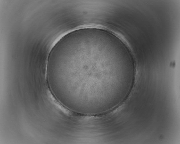 X0000111161228200906301353
