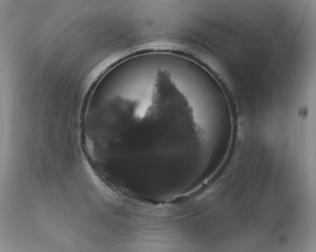 X0000111161229200906301353