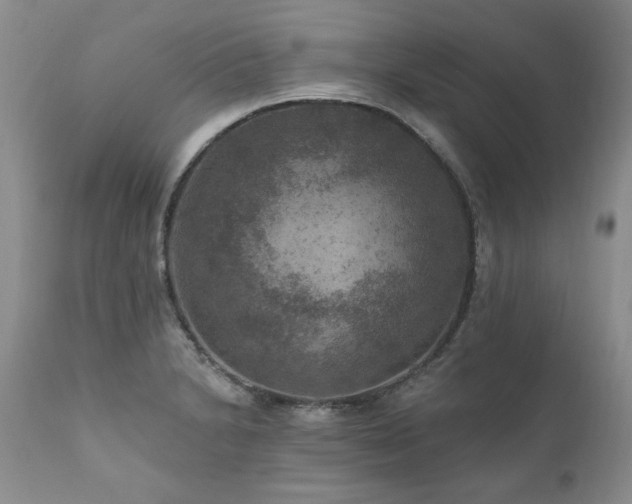 X0000111161230200906301353