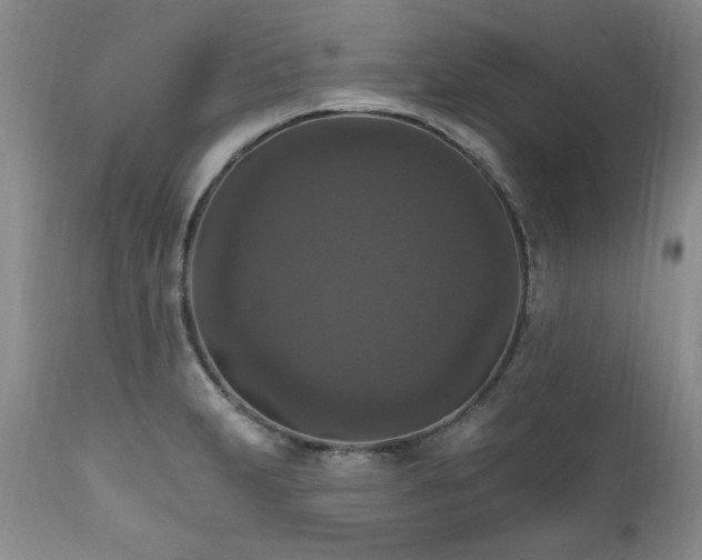 X0000111161231200906301353