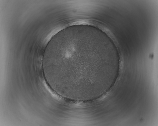 X0000111161233200906301353