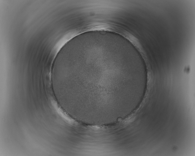 X0000111161234200906301353