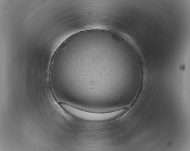 X0000111161236200906301353