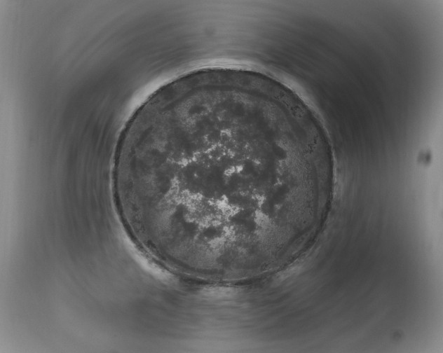 X0000111161237200906301353