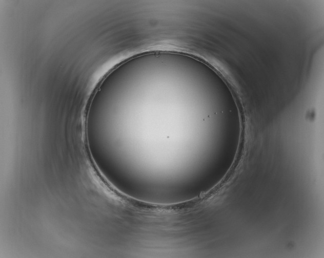 X0000111161238200906301353