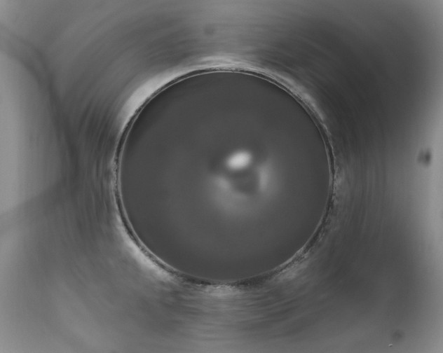 X0000111161239200906301353