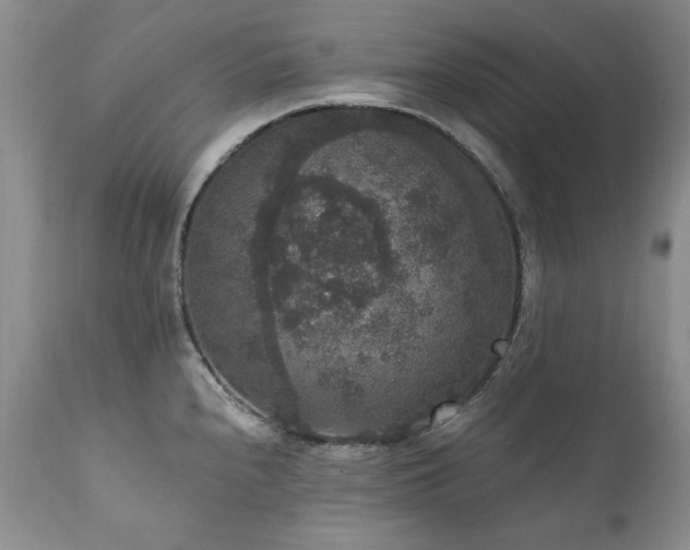 X0000111161240200906301353