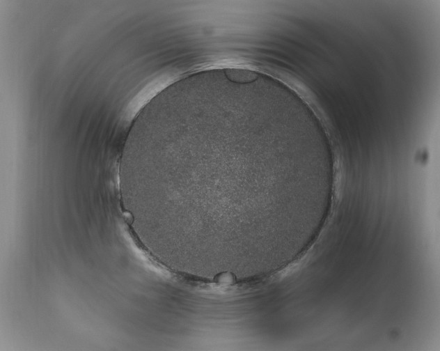X0000111161241200906301353