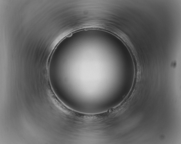 X0000111161242200906301353