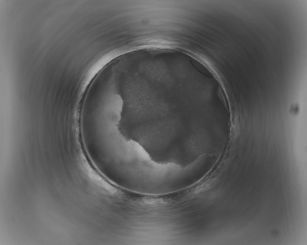 X0000111161243200906301353