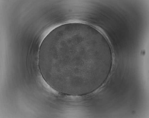 X0000111161244200906301353
