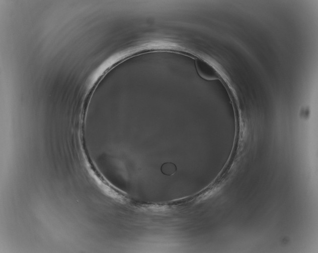 X0000111161245200906301353