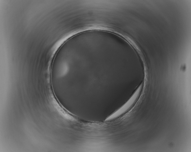 X0000111161246200906301353