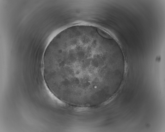 X0000111161247200906301353
