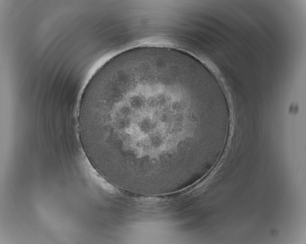 X0000111161248200906301353