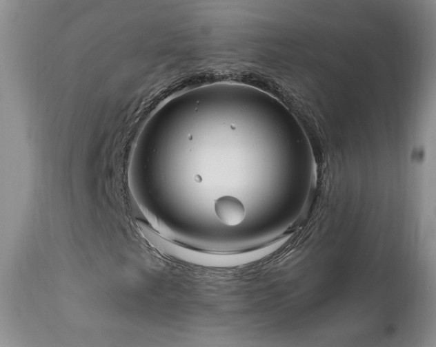 X0000111161249200906301352