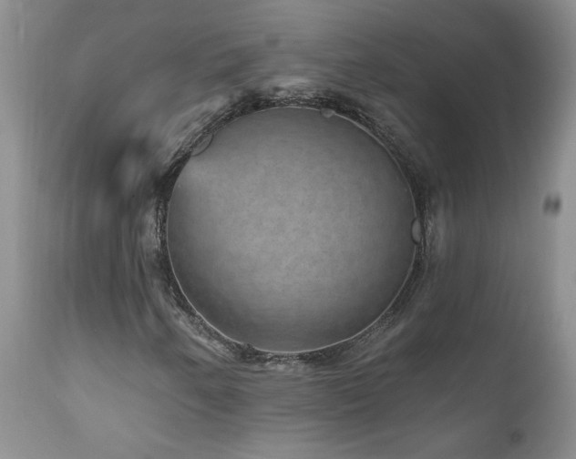 X0000111161250200906301352