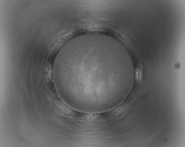 X0000111161251200906301352
