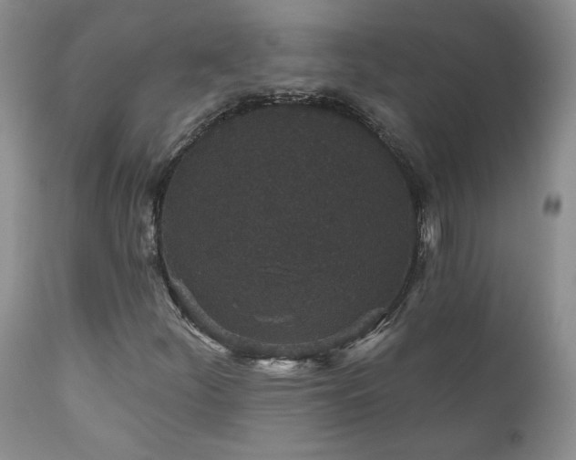 X0000111161252200906301352