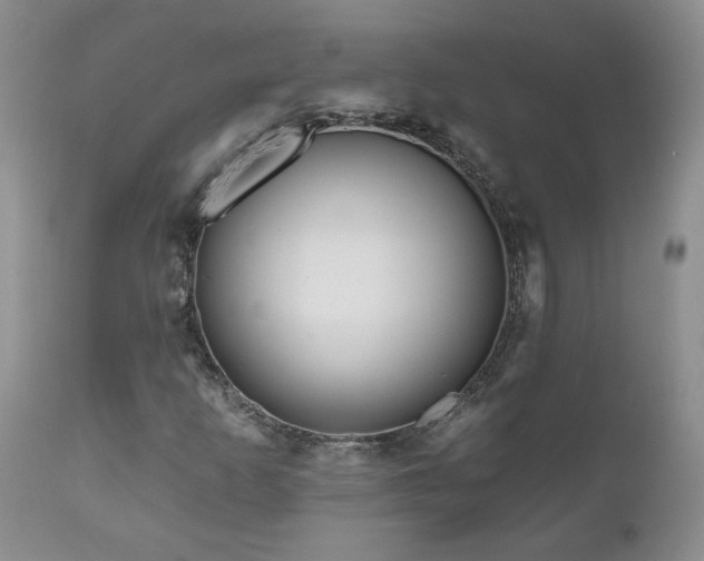 X0000111161253200906301352