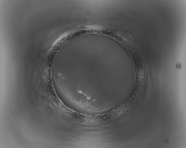 X0000111161254200906301352