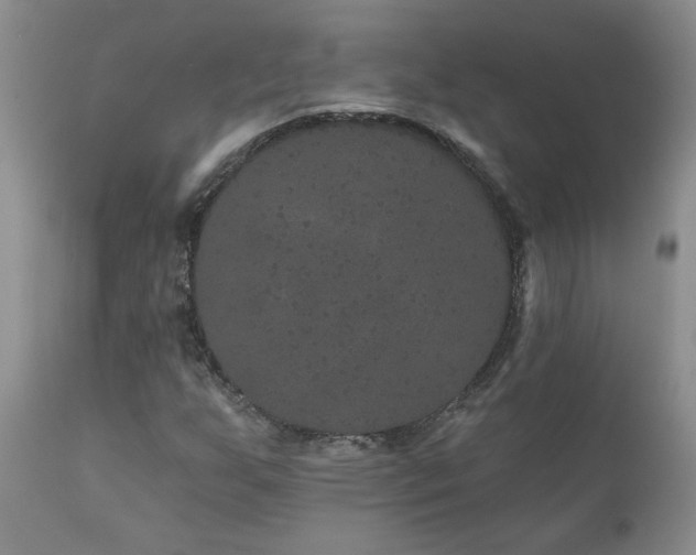 X0000111161255200906301352