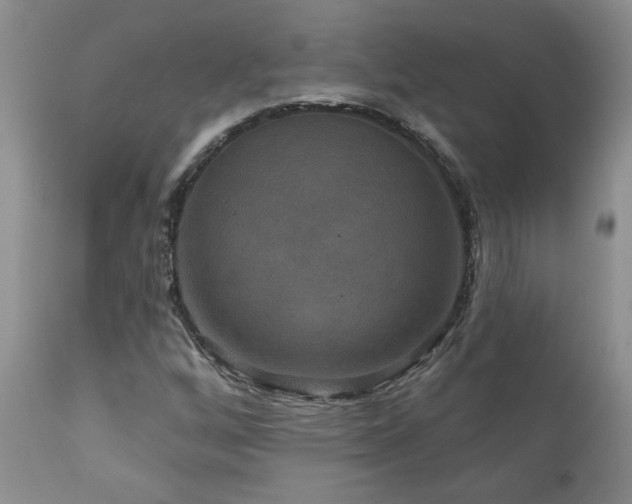 X0000111161256200906301352