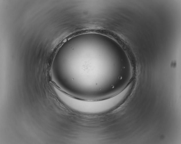 X0000111161257200906301352