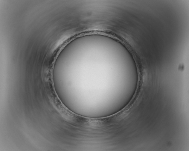X0000111161258200906301352