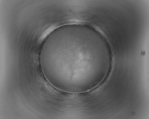 X0000111161259200906301352