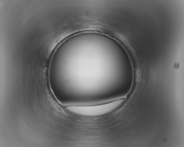 X0000111161260200906301352