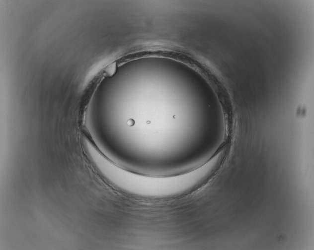 X0000111161261200906301352