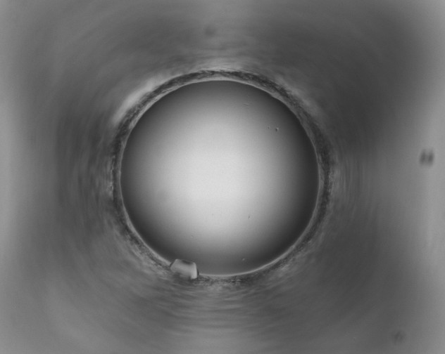 X0000111161262200906301352