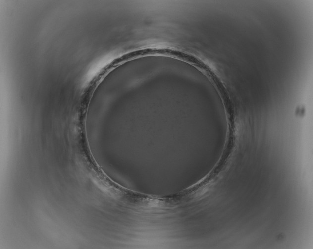 X0000111161263200906301352