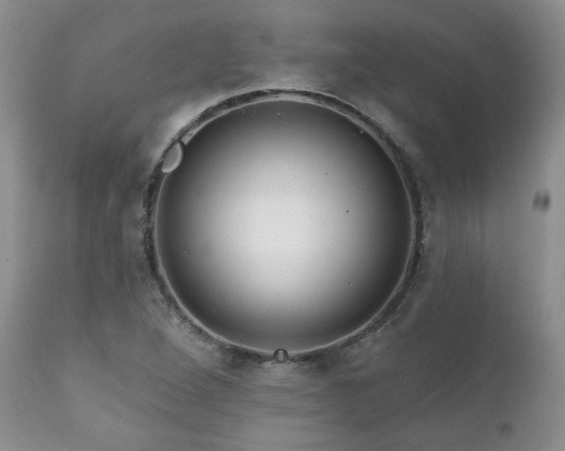 X0000111161264200906301352