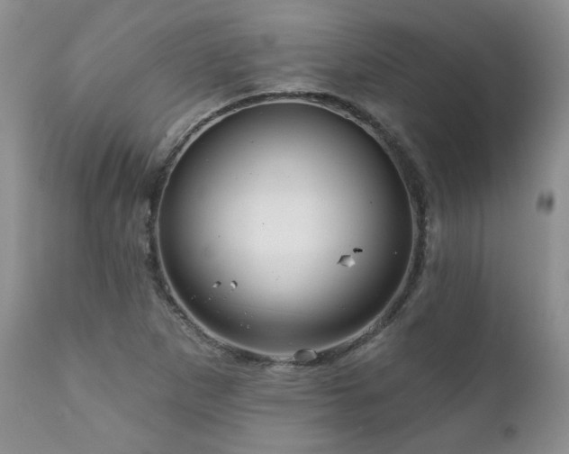 X0000111161265200906301352
