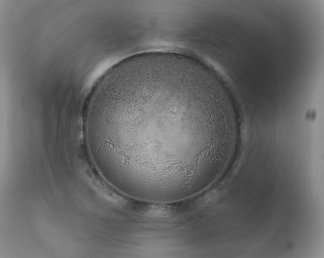 X0000111161267200906301352