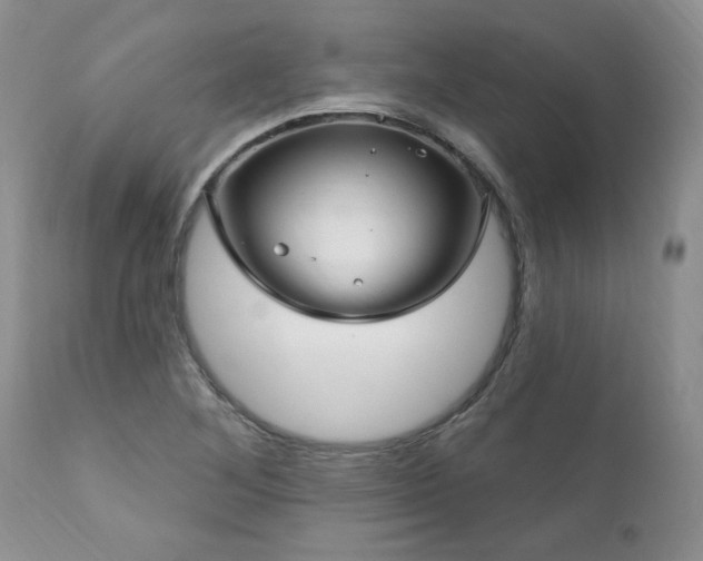 X0000111161268200906301352