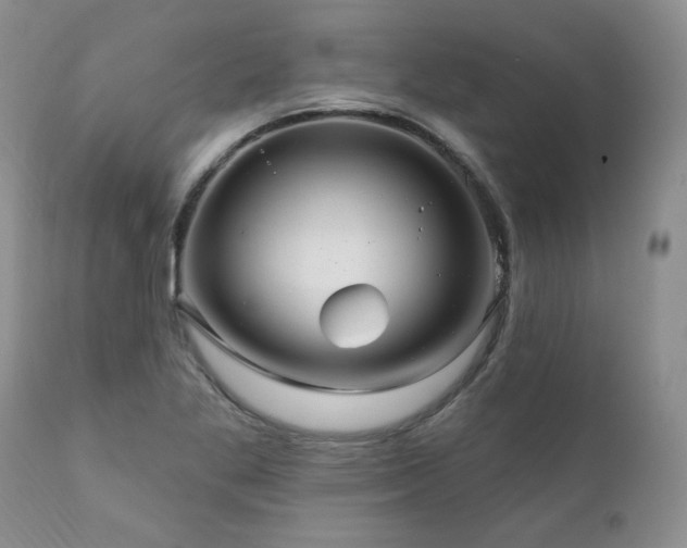 X0000111161269200906301352