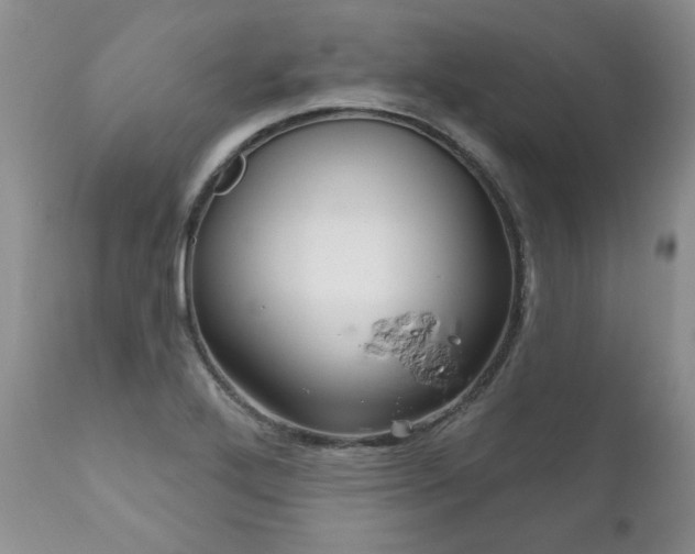X0000111161272200906301352