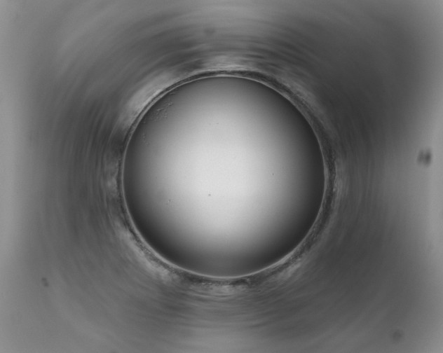 X0000111161273200906301352