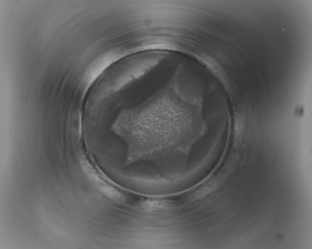 X0000111161274200906301352
