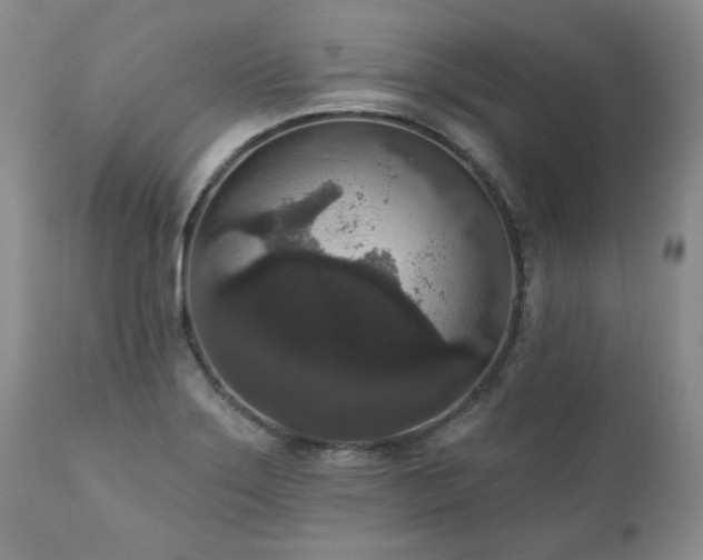 X0000111161275200906301352