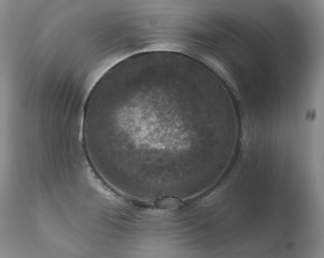 X0000111161276200906301352