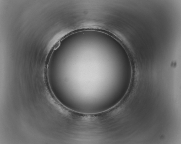 X0000111161277200906301352