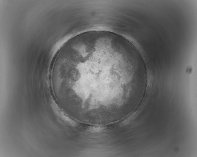 X0000111161278200906301352