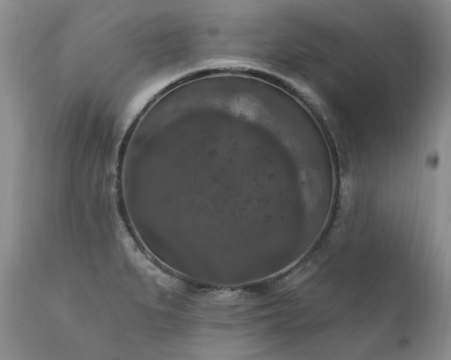 X0000111161279200906301352