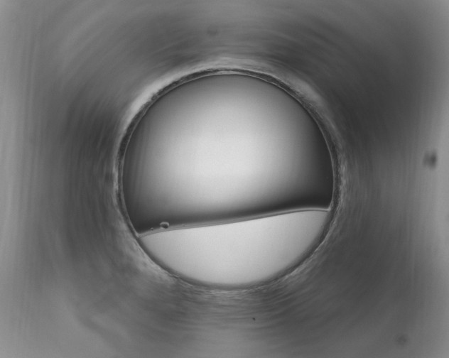 X0000111161280200906301352