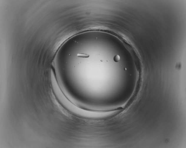 X0000111161281200906301352